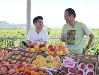 直播帶貨打開北京平谷大桃銷路 公益助農(nóng)再現(xiàn)創(chuàng)新形式